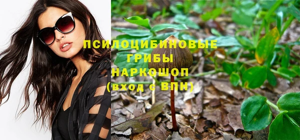 первитин Алексин