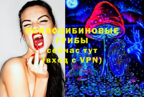 первитин Алексин