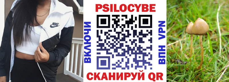 Псилоцибиновые грибы Psilocybine cubensis  kraken маркетплейс  Саки  закладки 