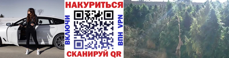 Каннабис гибрид Саки